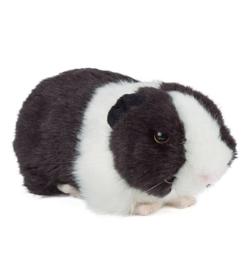 Living Nature Kuscheltier - 20x9 cm - Meerschweinchen - Schwarz - Living Nature - One Size - Kuscheltiere Living Nature Kuscheltier - 20x9 cm - Meerschweinchen - Schwarz - Living Nature - One Size - Kuscheltiere von Living Nature