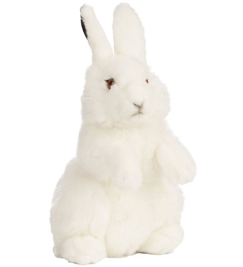 Living Nature Kuscheltier - 27x16 cm - Arktis Hare - Weiß - Living Nature - One Size - Kuscheltiere Living Nature Kuscheltier - 27x16 cm - Arktis Hare - Weiß - Living Nature - One Size - Kuscheltiere von Living Nature