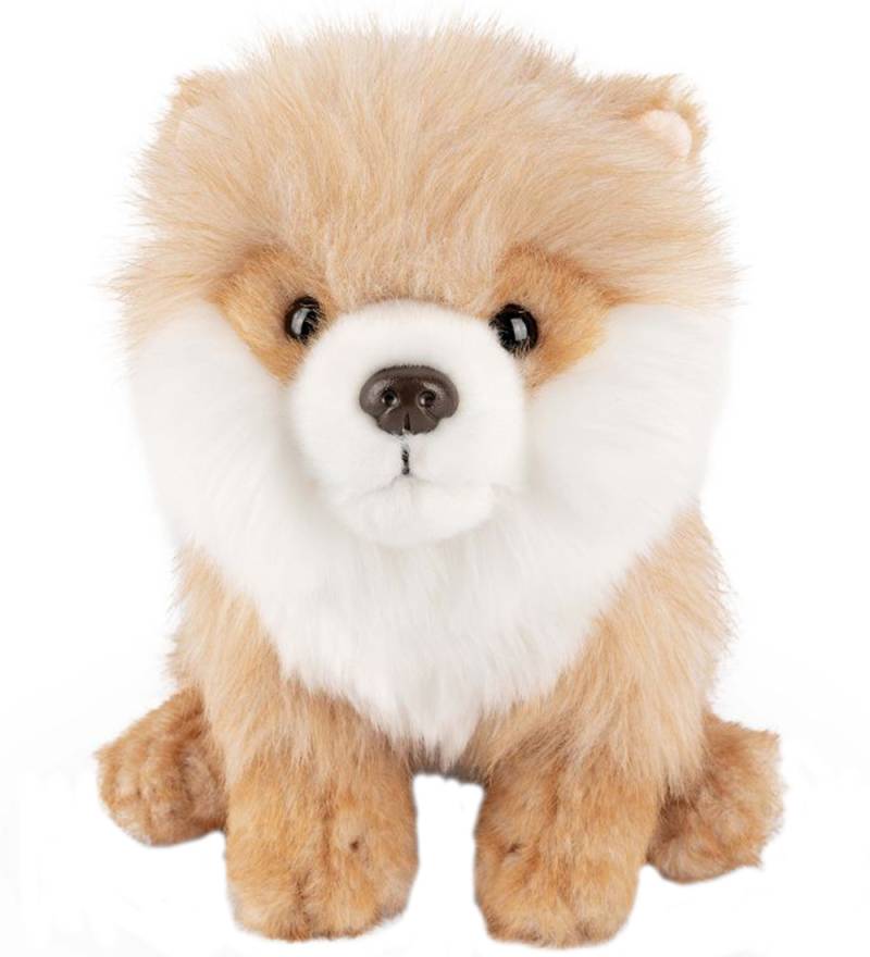 Living Nature Kuscheltier - 28x17 cm - Pomeranian - Beige - Living Nature - One Size - Kuscheltiere Living Nature Kuscheltier - 28x17 cm - Pomeranian - Beige - Living Nature - One Size - Kuscheltiere von Living Nature