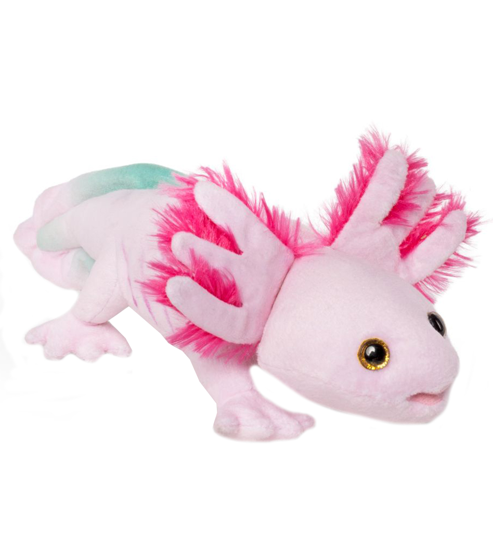 Living Nature Kuscheltier - 32x8 cm - Axolotl - Pink - Living Nature - One Size - Kuscheltiere Living Nature Kuscheltier - 32x8 cm - Axolotl - Pink - Living Nature - One Size - Kuscheltiere von Living Nature