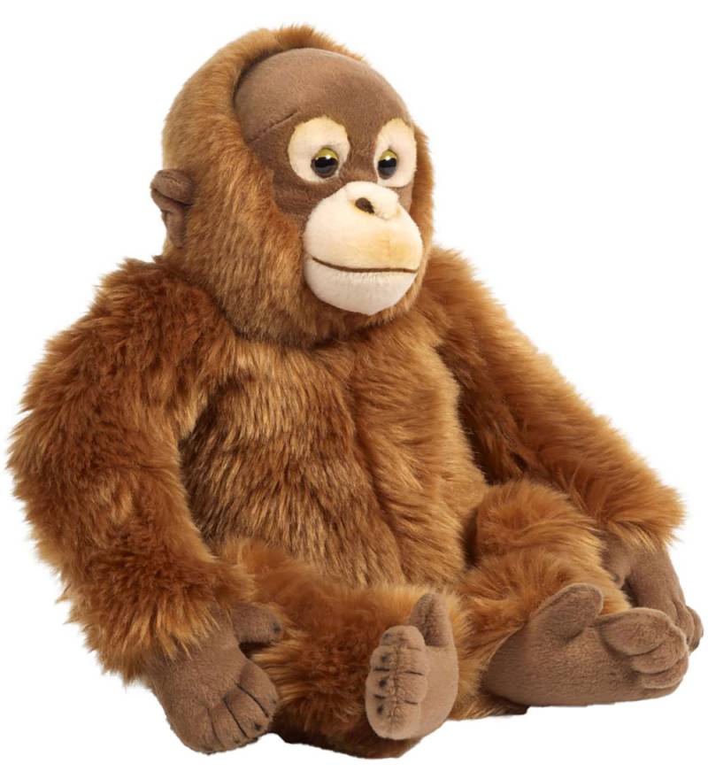 Living Nature Kuscheltier - 35x22 cm - Orang-Utan - Braun - Living Nature - One Size - Kuscheltiere Living Nature Kuscheltier - 35x22 cm - Orang-Utan - Braun - Living Nature - One Size - Kuscheltiere von Living Nature