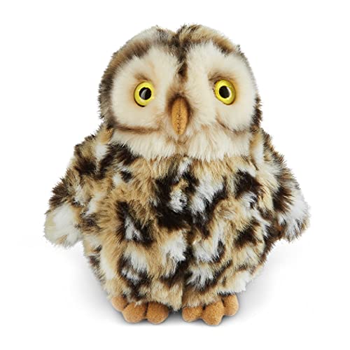 Living Nature Plüschtier – kleine Eule (10 cm) von Living Nature