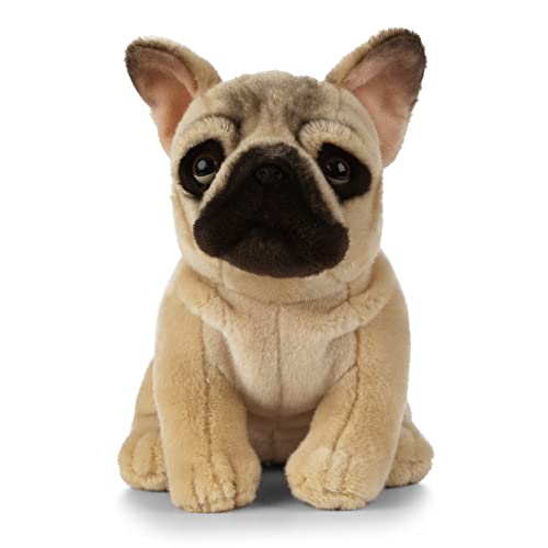 Living Nature Soft Toy - Stofftier Französische Bulldogge (20cm), Unbekannt von Living Nature