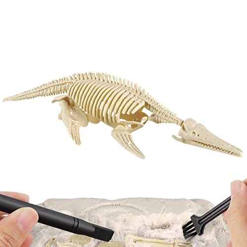 Dinosaurier-Fossil-Kit, Dinosaurier-Fossil-Grabwerkzeug-Set, Pädagogisches Geschenk für Science Play Dino Sand Dig Party Favor Decor Lnhgh von Lnhgh