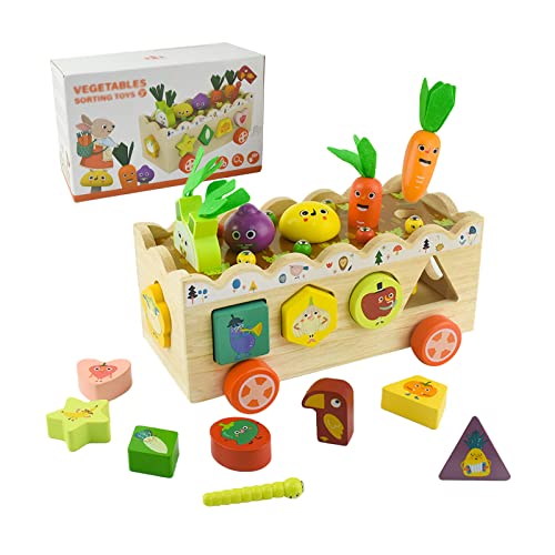 Locisne Montessori hölzerne Gemüse Form Sortieren Spielzeug, magnetische Ernte Spiel Sortierer, frühe pädagogische Set, Pecker Catching Insekten & Karotte, Geschenk für Alter 3+ Kleinkind von Locisne