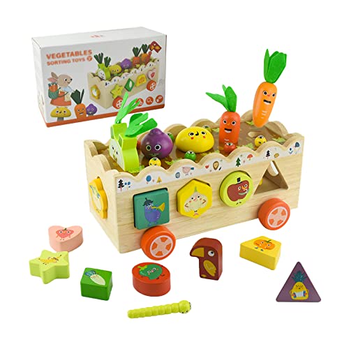 Locisne Montessori hölzerne Gemüse Form Sortieren Spielzeug, magnetische Ernte Spiel Sortierer, frühe pädagogische Set, Pecker Catching Insekten & Karotte, Geschenk für Alter 3+ Kleinkind Locisne Montessori hölzerne Gemüse Form Sortieren Spielzeug, magnetische Ernte Spiel Sortierer, frühe pädagogische Set, Pecker Catching Insekten & Karotte, Geschenk für Alter 3+ Kleinkind von Locisne