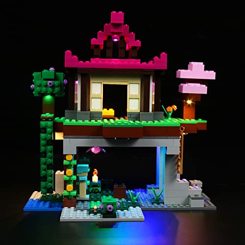 LocoLee Led Licht Set Kompatibel mit Lego Minecraft Trainingsgelände, Led Beleuchtungs Set für Minecraft 21183 Minecraft Das Trainingsgelände - Nur Lichter Set, Kein Modell von LocoLee