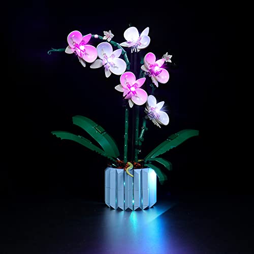 Led Licht Set für Lego Orchidee, Led Beleuchtungs Set für Lego 10311 Orchidee Botanical Collection Set - Nur Lichter-Set,kein Lego-Modell (Standard Version) von LocoLee