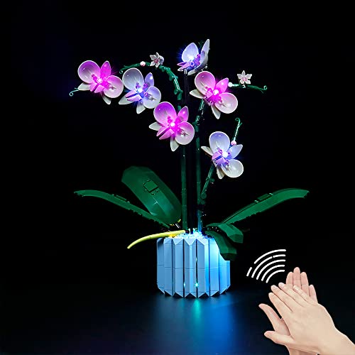 LocoLee Led Licht Set Kompatibel mit LEGO Orchidee, Led Beleuchtungs Set Compatible with LEGO 10311 Orchidee Botanical Collection Set - Nur Lichter-Set,Kein Modell (Stimmenkontrolle) von LocoLee