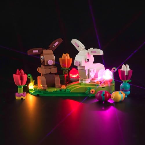 Licht Set für Lego Easter Rabbits, Nur Lichter Set - Kein Modell, Licht BeleuchtungSet für Lego 40523 Easter Rabbits von LocoLee