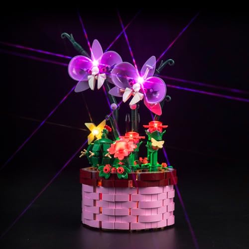 Licht Set für Lego Isabelas Blumentopf, Nur Lichter Set - Kein Modell, Licht BeleuchtungSet für Lego 43237 Disney Encanto Isabela’s Flowerpot von LocoLee