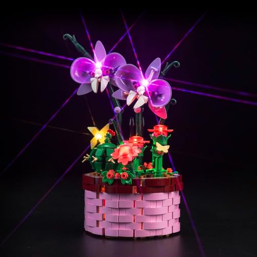 LocoLee Licht Kompatibel mit Lego Isabelas Blumentopf, Nur Lichter Set - Kein Modell, Licht BeleuchtungSet Compatible with Lego 43237 Disney Encanto Isabela’s Flowerpot von LocoLee