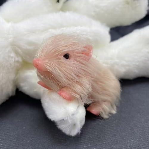 Lonian 3 Zoll weiches Silikon Schwein Puppe Reborn Baby Puppe Handmade Ferkel Puppe Handy Puppen Kinder Spielzeug Lonian 3 Zoll weiches Silikon Schwein Puppe Reborn Baby Puppe Handmade Ferkel Puppe Handy Puppen Kinder Spielzeug von Lonian