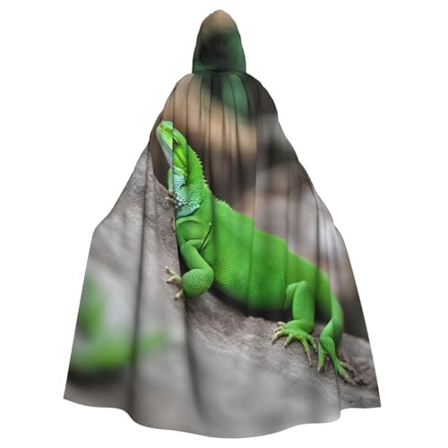 Kapuzenumhang mit grünem Eidechsenaufdruck, Unisex, für Erwachsene, Kapuzenmantel, übergroßer Kapuzenumhang, Halloween-Umhang von Lootpe