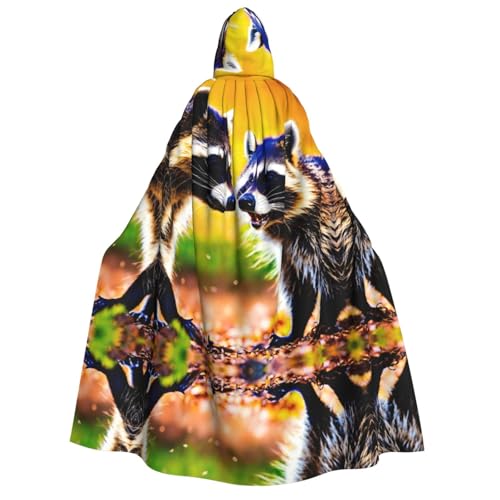 Loppott Kapuzenumhang mit süßem Waschbär-Druck, für Erwachsene, Halloween, Weihnachtsfeiern, Cosplay-Kostüm, Kapuze, Karnevals-Umhang Loppott Kapuzenumhang mit süßem Waschbär-Druck, für Erwachsene, Halloween, Weihnachtsfeiern, Cosplay-Kostüm, Kapuze, Karnevals-Umhang von Loppott
