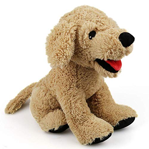 LotFancy Kuscheltier Hund Plüschtier klein 30cm, Stofftier Hund Golden Retriever, weich kuschelig Geschenk für Kinder Mädchen Freundin, Spielzeug für Hund Haustier LotFancy Kuscheltier Hund Plüschtier klein 30cm, Stofftier Hund Golden Retriever, weich kuschelig Geschenk für Kinder Mädchen Freundin, Spielzeug für Hund Haustier von LotFancy