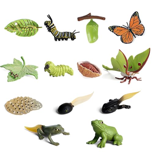 Lotvic Insektenfiguren Lebenszyklus der Schmetterlinge Wachstumsmodell, Realistische Tierfiguren Insekt von Lotvic