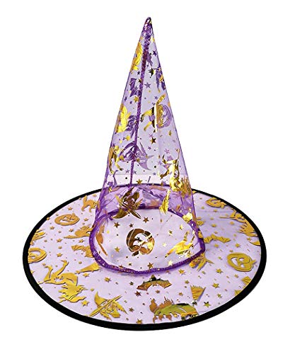 Hexenhut Transparent Lila Gold Silber Wendehut Halloween Karneval Damen Herren Kürbisse Katzen Magischer Anlass Kostüm von LoveLegis