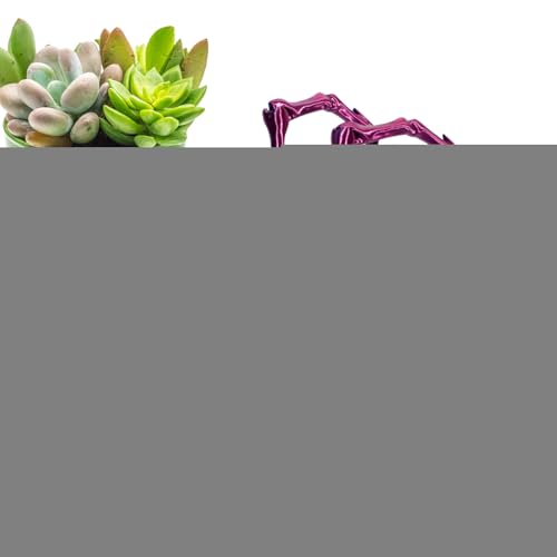Lpoppcx 3D-gedrucktes Spinnenspielzeug, Gelenkspinne | 3D-gedruckte Spinnenspielzeuge mit beweglichen Gelenken - 3D bewegliche Spinne Erwachsene Fidget Toys Mystery Spider Halloween Dekorationen von Lpoppcx