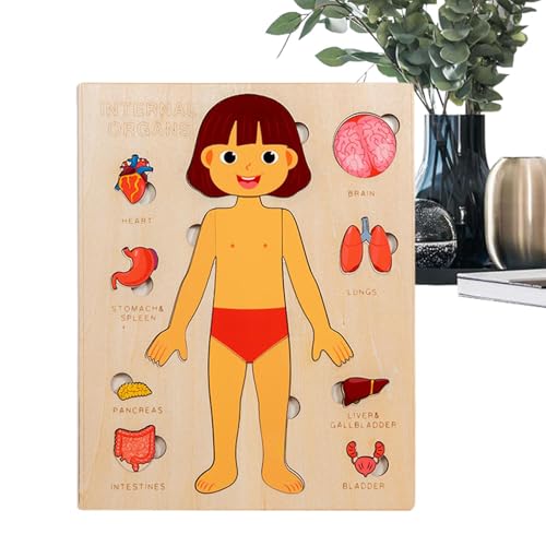 Lpsdssre Körperteile Für Kinder,Pädagogisches Holzpuzzle Vom Menschlichen Körper | Entwicklungsspielzeug Für Kinder Im Krankenhaus Für Mädchen Jugendliche Studenten Und Kleinkinder In Lpsdssre Körperteile Für Kinder,Pädagogisches Holzpuzzle Vom Menschlichen Körper | Entwicklungsspielzeug Für Kinder Im Krankenhaus Für Mädchen Jugendliche Studenten Und Kleinkinder In von Lpsdssre