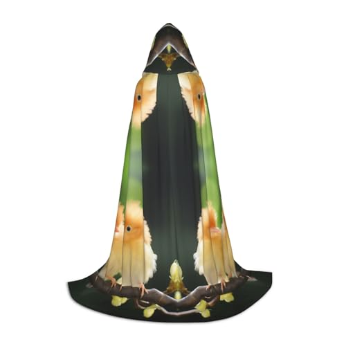 Luckily&Day Halloween-Kostüm mit Vogelzweig-Druck, Umhang mit Kapuze, Umhang für Männer und Frauen, Party, Cosplay, Zauberer, Hexe, Wikinger, Robe Luckily&Day Halloween-Kostüm mit Vogelzweig-Druck, Umhang mit Kapuze, Umhang für Männer und Frauen, Party, Cosplay, Zauberer, Hexe, Wikinger, Robe von Luckily&Day