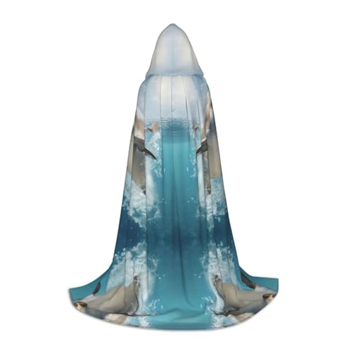 Luckily&Day Lustiges Tier-Delfin-Druck, Halloween-Kostüm, Kapuzenumhang für Männer und Frauen, Party, Cosplay, Zauberer, Hexe, Wikinger Luckily&Day Lustiges Tier-Delfin-Druck, Halloween-Kostüm, Kapuzenumhang für Männer und Frauen, Party, Cosplay, Zauberer, Hexe, Wikinger von Luckily&Day