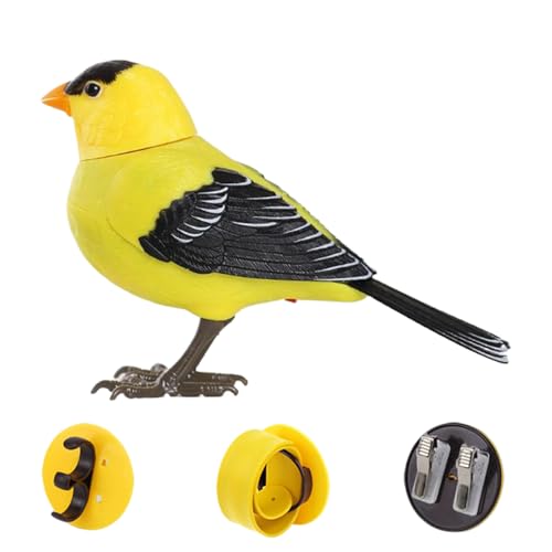 Luckxing Sprechender Vogel,Kinder Vogel Spielzeug Für Kleinkinder | Realistischer Sprechender Elektronischer Schreibtisch Haustier Für Sensorisches Spiel Geburtstag Zimmer Deko Luckxing Sprechender Vogel,Kinder Vogel Spielzeug Für Kleinkinder | Realistischer Sprechender Elektronischer Schreibtisch Haustier Für Sensorisches Spiel Geburtstag Zimmer Deko von Luckxing