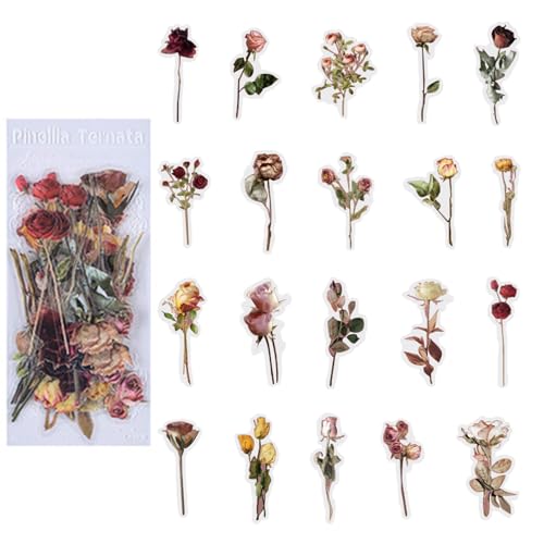 Luckywaqng Aufkleber 6806 Memory Garden PET-Scrapbook-Aufkleber-Set, Vintage-Aufkleber, hübsche Florale Retro-Aufkleber, Selbstklebende Aufkleber für Planer, Kunsthandwerk, Notizbuch, (E, One Size) von Luckywaqng
