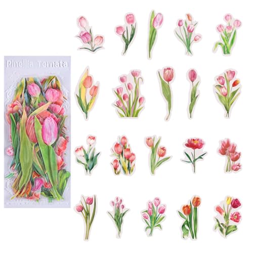 Luckywaqng Aufkleber 6806 Memory Garden PET-Scrapbook-Aufkleber-Set, Vintage-Aufkleber, hübsche Florale Retro-Aufkleber, Selbstklebende Aufkleber für Planer, Kunsthandwerk, Notizbuch, (F, One Size) von Luckywaqng
