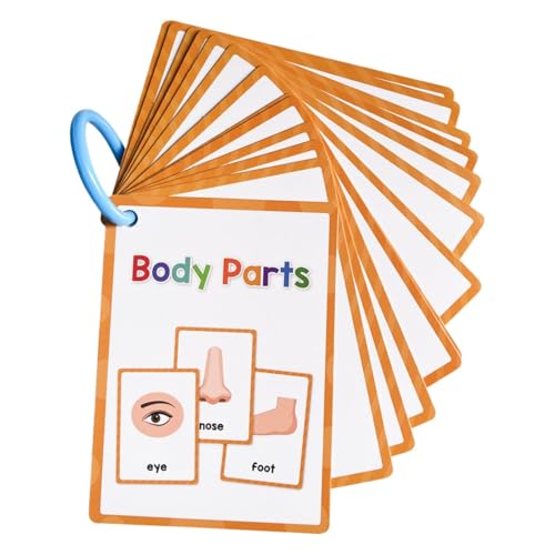 Luckywaqng Body Parts Learning Cards | Body Parts Cards for | English Pocket Card 15Pieces Body Parts Card | Vocabulary Words Flashcard Educational Learning Flashcard for (Orange, One Size) von Luckywaqng