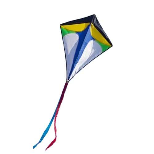 Luckywaqng Colorful Polyester Kite Outdoor Sports Kite for Kids & Adults Extremely Easy to Fly Kite Flugdrachen Bausatz (Sky Blue, One Size) von Luckywaqng