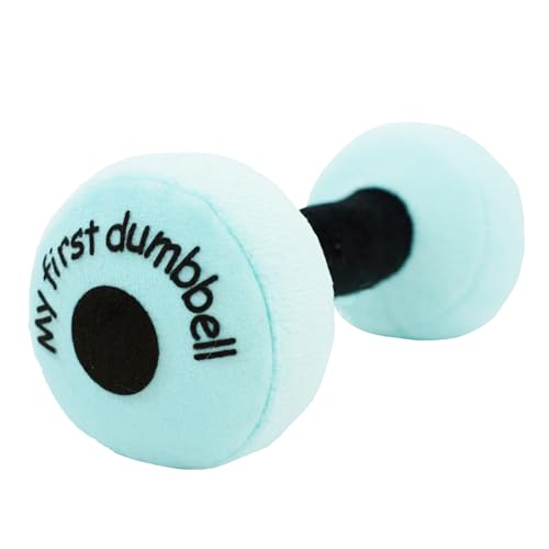 Lullaberry My First Hantel - Plüsch Baby Rassel Spielzeug - Sicheres, weiches Langhantel Workout Spielzeug für Säuglinge Jungen und Mädchen - Blau von Lullaberry