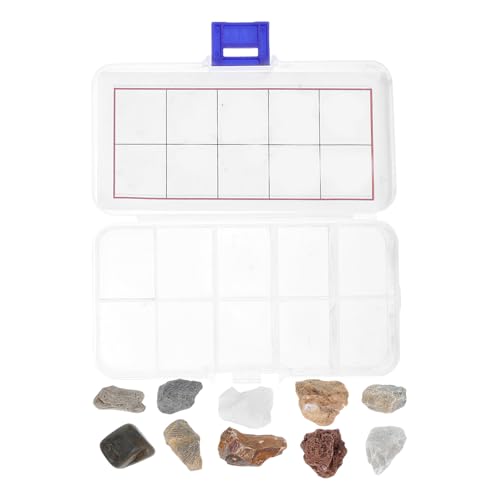 Lurrose 1 Set Geologie-Set für Kinder mit Gesteinsproben, pädagogische Gesteins- und Mineraliensammlung für das Lernen von Wissenschaftlern zu Hause im Klassenzimmer, inklusive Granit, Kalkstein, von Lurrose