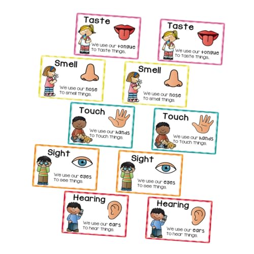 Lurrose 2 Sätze Lernposter mit Sinnen Flashcards für Vorschule Multi Sinnes Stimulation Kognitive Entwicklung Klassenzimmer Dekoration Flexibles und von Lurrose