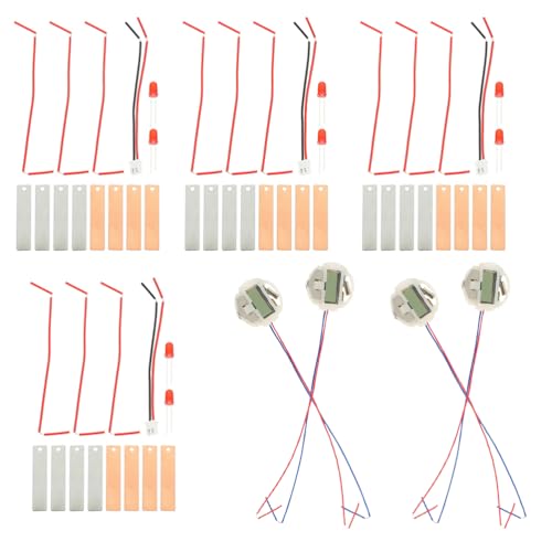 Lurrose 4 Sets DIY-Obstbatterie-Experimentierset für Kinder, Kartoffel-Zitronen-Orangen-Batterie, Physik-Lehrset, Mint-Pädagogisches Wissenschaftsset für Schulprojekte von Lurrose