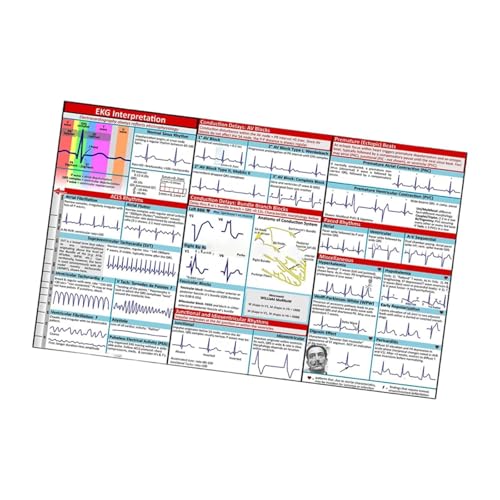 Luwecf Pocket Guide Präsentation Tools Display Lehrversorgung für Geschenkschule Luwecf Pocket Guide Präsentation Tools Display Lehrversorgung für Geschenkschule von Luwecf