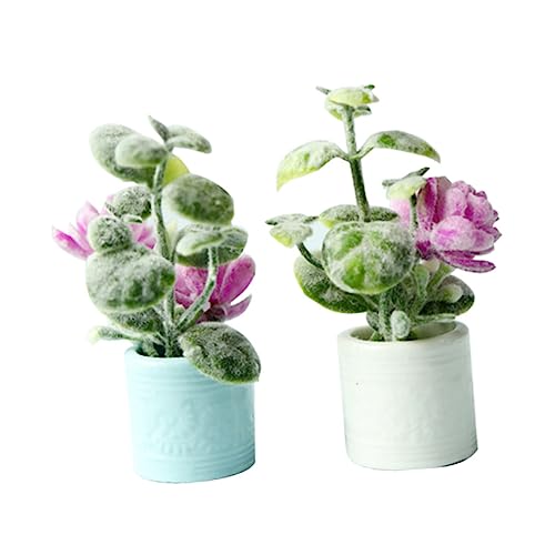 Luxshiny 2stücke Miniature Pflanzen Bonsai Modell Für Puppenhaus Dekoration Mini Topfpflanzen Für Kreative Mini Landschaften Gartenaccessoires von Luxshiny
