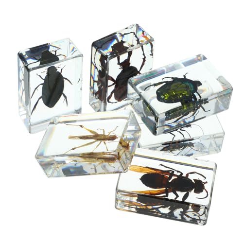 Luxshiny 6 Stück Teiliges Transparente Insektenmodelle für Naturwissenschaftlichen Unterricht Dekorative Insektenexemplare als Briefbeschwerer und Lernwerkzeug Luxshiny 6 Stück Teiliges Transparente Insektenmodelle für Naturwissenschaftlichen Unterricht Dekorative Insektenexemplare als Briefbeschwerer und Lernwerkzeug von Luxshiny