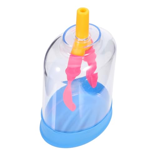 Luxshiny Human Lung Breathing Model Wissenschaftliches Atemmodell für Experimente für Physikunterricht Kompakt Tragbar Simuliert Lungenbewegungen Zufällige Farbe Zufällige Farbe Luxshiny Human Lung Breathing Model Wissenschaftliches Atemmodell für Experimente für Physikunterricht Kompakt Tragbar Simuliert Lungenbewegungen Zufällige Farbe Zufällige Farbe von Luxshiny