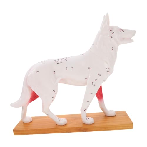 Luxshiny Hund Akupunktur Modell Detailliertes Lehrmodell für Veterinärmedizinische Ausbildung und Anatomiestudium für Akupunkturtraining und Tiermedizin Luxshiny Hund Akupunktur Modell Detailliertes Lehrmodell für Veterinärmedizinische Ausbildung und Anatomiestudium für Akupunkturtraining und Tiermedizin von Luxshiny
