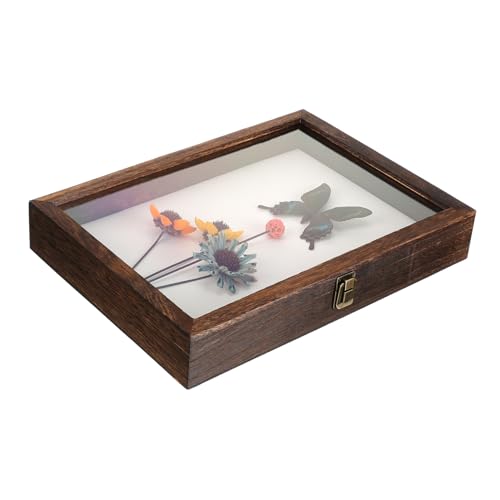 Luxshiny Kasten Muster Vitrine Museum Fall Sammlung Vitrine groß Anzeige gehäuse Probenbehälter Vitrine aus Holz Probenrahmen Musterkoffer Musterrahmenkoffer Acryl Luxshiny Kasten Muster Vitrine Museum Fall Sammlung Vitrine groß Anzeige gehäuse Probenbehälter Vitrine aus Holz Probenrahmen Musterkoffer Musterrahmenkoffer Acryl von Luxshiny