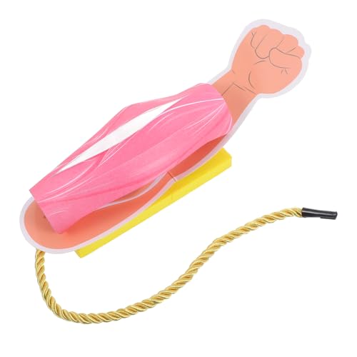 Luxshiny Muskelmodell für Anatomisches Modell Menschlichen Muskulatur für Bildungszwecke Detaillierte Darstellung Menschlicher Muskelstrukturen Wissenschaftliches zur Des Lernens über Luxshiny Muskelmodell für Anatomisches Modell Menschlichen Muskulatur für Bildungszwecke Detaillierte Darstellung Menschlicher Muskelstrukturen Wissenschaftliches zur Des Lernens über von Luxshiny