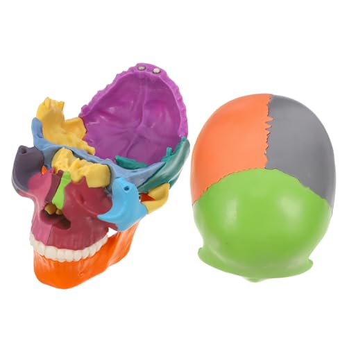 Luxshiny Schädelmodell Anatomie Figur Anatomisches Modell Des Menschlichen Kopfes Mit Menschlichem Schädelstamm Wissenschaftliche Lehrhilfen Kleine Schädel Plastik Luxshiny Schädelmodell Anatomie Figur Anatomisches Modell Des Menschlichen Kopfes Mit Menschlichem Schädelstamm Wissenschaftliche Lehrhilfen Kleine Schädel Plastik von Luxshiny