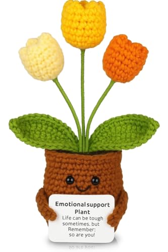 Lvguang Handgehäkelter Blumentopf mit Mini-Strickblumen - Motivierende Bürodeko mit Ermutigungskarte, Positive Geschenke für Arbeitskollegen Lvguang Handgehäkelter Blumentopf mit Mini-Strickblumen - Motivierende Bürodeko mit Ermutigungskarte, Positive Geschenke für Arbeitskollegen von Lvguang