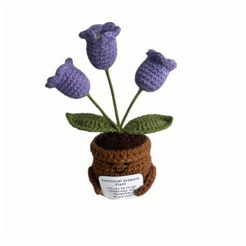 Lvguang Handgehäkelter Blumentopf mit Mini-Strickblumen - Motivierende Bürodeko mit Ermutigungskarte, Positive Geschenke für Arbeitskollegen Lvguang Handgehäkelter Blumentopf mit Mini-Strickblumen - Motivierende Bürodeko mit Ermutigungskarte, Positive Geschenke für Arbeitskollegen von Lvguang
