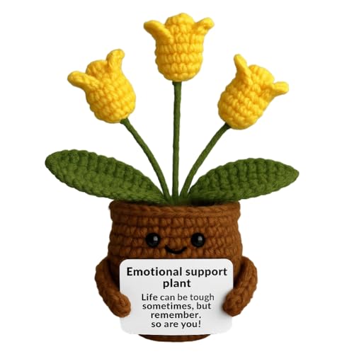 Lvguang Handgehäkelter Blumentopf mit Mini-Strickblumen - Motivierende Bürodeko mit Ermutigungskarte, Positive Geschenke für Arbeitskollegen Lvguang Handgehäkelter Blumentopf mit Mini-Strickblumen - Motivierende Bürodeko mit Ermutigungskarte, Positive Geschenke für Arbeitskollegen von Lvguang
