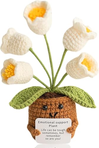 Lvguang Handgehäkelter Blumentopf mit Mini-Strickblumen - Motivierende Bürodeko mit Ermutigungskarte, Positive Geschenke für Arbeitskollegen Lvguang Handgehäkelter Blumentopf mit Mini-Strickblumen - Motivierende Bürodeko mit Ermutigungskarte, Positive Geschenke für Arbeitskollegen von Lvguang