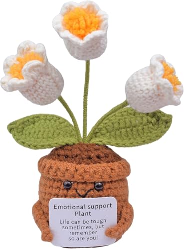 Lvguang Handgehäkelter Blumentopf mit Mini-Strickblumen - Motivierende Bürodeko mit Ermutigungskarte, Positive Geschenke für Arbeitskollegen Lvguang Handgehäkelter Blumentopf mit Mini-Strickblumen - Motivierende Bürodeko mit Ermutigungskarte, Positive Geschenke für Arbeitskollegen von Lvguang