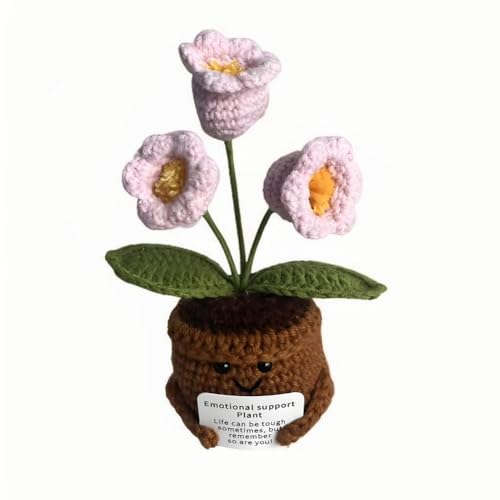 Lvguang Handgehäkelter Blumentopf mit Mini-Strickblumen - Motivierende Bürodeko mit Ermutigungskarte, Positive Geschenke für Arbeitskollegen Lvguang Handgehäkelter Blumentopf mit Mini-Strickblumen - Motivierende Bürodeko mit Ermutigungskarte, Positive Geschenke für Arbeitskollegen von Lvguang