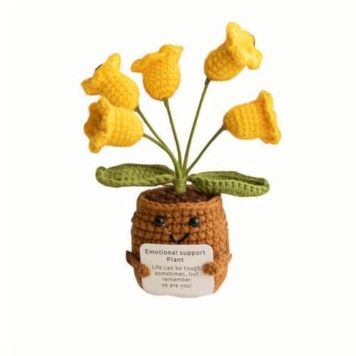 Lvguang Handgehäkelter Blumentopf mit Mini-Strickblumen - Motivierende Bürodeko mit Ermutigungskarte, Positive Geschenke für Arbeitskollegen Lvguang Handgehäkelter Blumentopf mit Mini-Strickblumen - Motivierende Bürodeko mit Ermutigungskarte, Positive Geschenke für Arbeitskollegen von Lvguang
